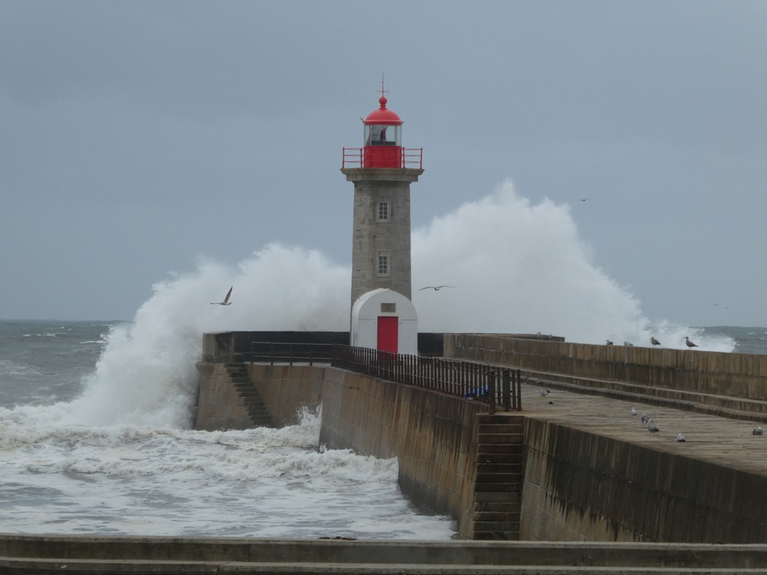 Foz do Douro - 2023